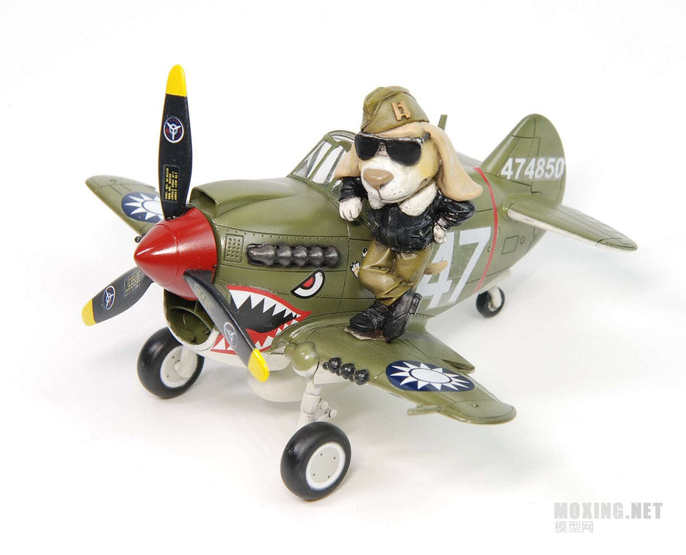 QT CURTISS P-40 WARHAWK AND PILOT (PUPPY PILOT) TIGER MODELS TT002