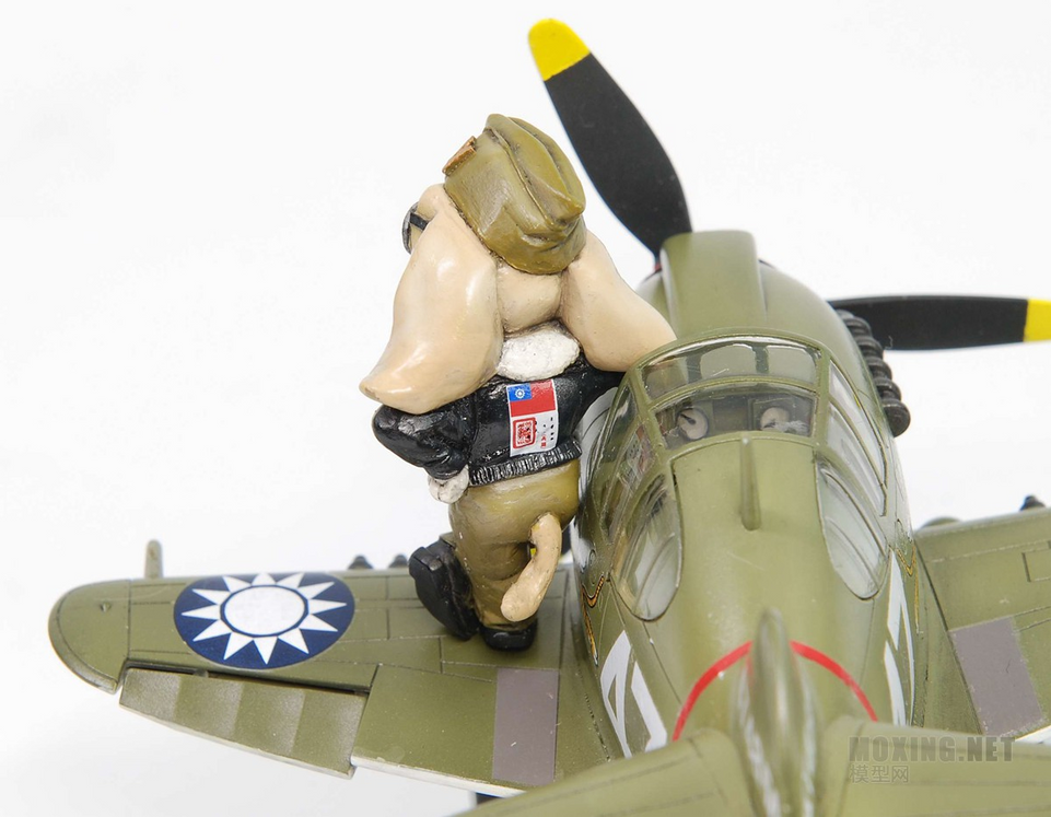 QT CURTISS P-40 WARHAWK AND PILOT (PUPPY PILOT) TIGER MODELS TT002