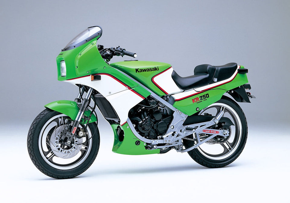 1/12 Kawasaki KR250 (KR250A) 1984