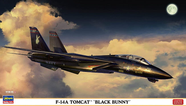 1/72 F-14A TOMCAT 'BLACK BUNNY BY HASEGAWA 02377